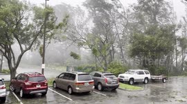 Street light wobbles in strong winds as Hurricane Ian approaches