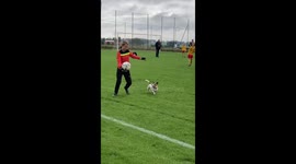 Cute dog dashes onto football pitch and joins the match