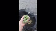 temp