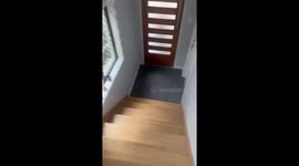 The excitement my girl babies, Frankie & Charlie,  feel when Oma visits  