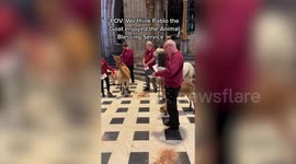 Hilarious footage of a GOAT singing in Worcester Cathedral goes viral with 2 MILLION hits worldwide