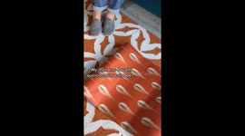 Bristol mum accidentally buys rude wallpaper that 'looks like a v*gina' – leaves TikTok users in stitches