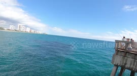 Dad Casts GoPro into School of Mullet On Shoreline, Deerfield Beach, Florida Coast