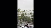 temp