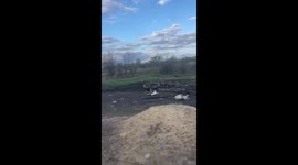 One of the villages east of Kupyansk, Kharkiv region, located in the zone of advancement of Ukrainian troops