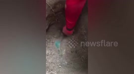 Villagers unearth 'ancient' tableware under abandoned lot in Thailand