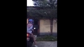 Woman energetically turns motorbike handlebar and crashes against fence