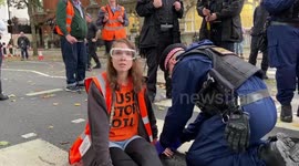 Just Stop Oil protester explains her actions while getting arrested