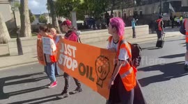Just Stop Oil activists continue their protests in Westminster