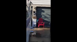 We couldn't figure out why we had walnuts in our mailbox until we caught the culprit in the act!