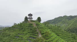 Drone Footage Of Lingyun Tea Mountain In Baise City, China