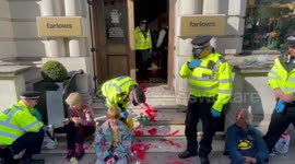 Animal Rebellion activists pour red paint on floors of Farlows store in London