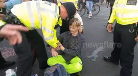 Multiple arrests as Animal Rebellion protesters blocked Westminster bridge