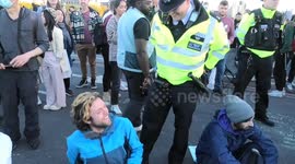 Animal Rebellion protesters arrested and removed from Westminster Bridge