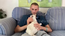 My son and his cat are startled by a noise my granddaughter makes.