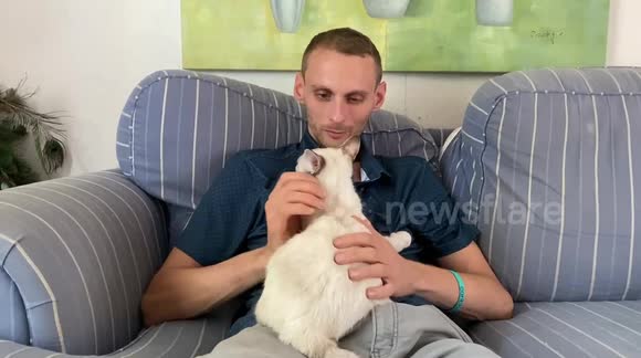 My son and his cat are startled by a noise my granddaughter makes.