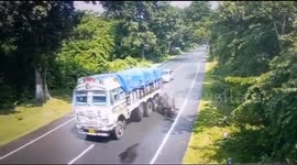 CCTV footage captures the shocking moment a rhino is hit by a truck in Eastern India