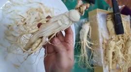 Crafty chef in Vietnam sculpts statue of 'god of longevity' on ginseng root