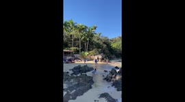 Mexico, Playa Las Caletas, Cabo Corrientes Beach in Mexico