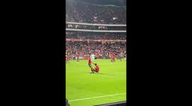 Ronaldo’s reaction after the lost game in Portugal - Serbia in Lisbon.