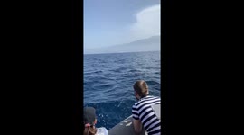 Boat tour in Tenerife island, where I discovered a pilot whales.