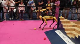 One of the amazing Boston Dynamics Robots been displayed at the New Scientist live event held at the Excel Centre in London