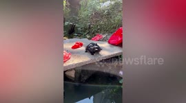 Fishermen rescue couple of kittens thrown into river in eastern China