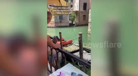 Holidaymaker who dove 6ft to retrieve iPhone in Venice canal finds out it still works