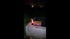 eid event at night sky playing with firework .hope you guys enjoy it and support me to keep provide video from time to time