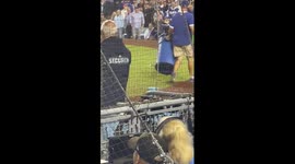 Fowl ball! Duck steals the show during Game 2 between Padres vs Dodgers