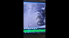 A guy accidentally stepped on a snake in the street!