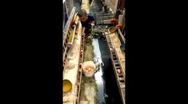 The boy was suddenly pecked by a chicken in the chicken coop