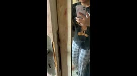 The kitten is very enthusiastic watching videos on the phone!