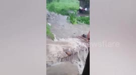 Villager spears coconuts being swept away by flood in the Philippines