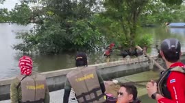 Hero volunteers save pets stranded in floods in northeast Thailand