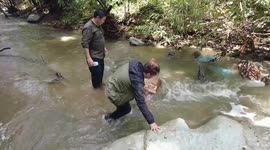 Researchers test waters in rivers to help conserve endangered big-headed turtles in Thailand