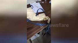 Gold worth $631,634 recovered from cavity of chest belt, passenger arrested at airport in western India