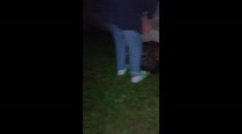 Look at this fight between mouse and cat.