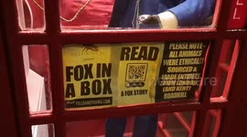 Fabulous furry artwork in a London phone box features besuited former roadkill fox and squirrels