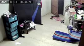 Curious python slithers into Thailand local's home before showing itself out