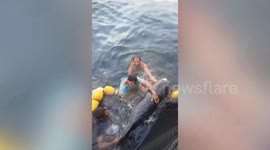 Kind fishermen free pair of whales caught in their net in the Philippines