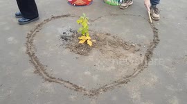 Extinction Rebellion activists plant oak tree sapling as a symbol of hope in Parliament Square