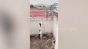temp