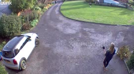 Amusing moment woman fell flat on her back after excitable golden retriever puppy charged into her