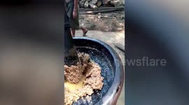 Burmese villagers show traditional way of extracting peanut oil in Myanmar