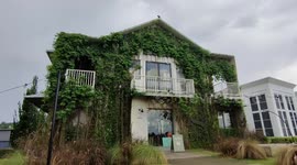 Unique cafe with its building covered with greens