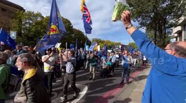 'Long-last RomainER lettuce' shouts man as he throws plant to crowd during pro-EU march