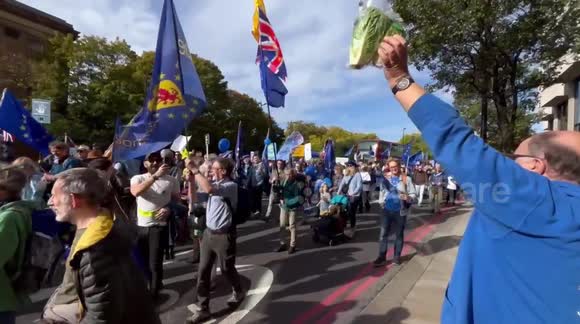 'Long-last RomainER lettuce' shouts man as he throws plant to crowd during pro-EU march