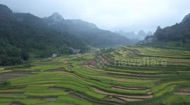 Terrace Fields In Pingjiang village, China