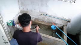 Homeowner finds large coconut snake lurking in bathroom